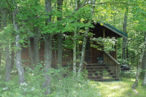 Bear-Den-porch-yard-Silver-Cliff-Campground